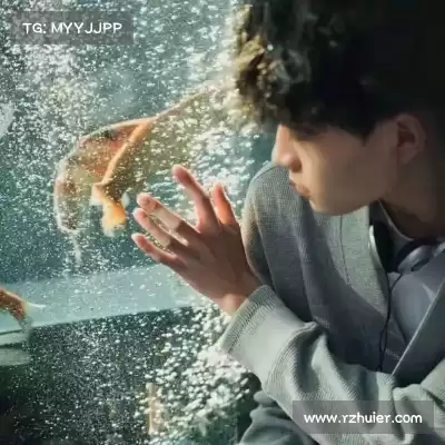 嵇亮亮